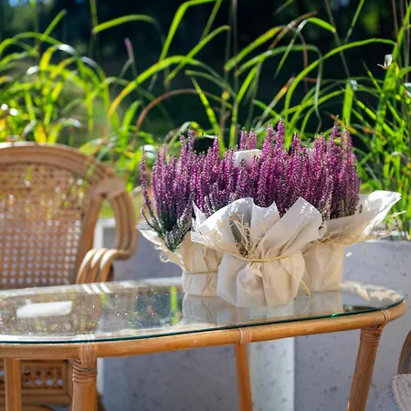 Lola Przy Stoku - Z Prywatnym Jacuzzi *